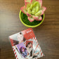 K-pop Blackpink  4 Packs Stickers Lisa Rose Jennie Jisoo Stationary
