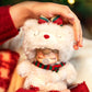 [Authentic] Limited Edition Rolife Nanci Christmas Bear Birthday Gift Vinyl Plush Pendant Not Blind Boxes