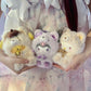 [Authentic] Sanrio Blind Boxes Fox Island Vinyl Plush Pendant