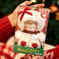 [Authentic] Limited Edition Rolife Nanci Christmas Bear Birthday Gift Vinyl Plush Pendant Not Blind Boxes
