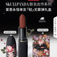 Authentic Popmart Skullpanda x Mac Cosmetics  Make up Gift Set
