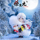Authentic Popmart Gong Inuyasha Blind Boxes Figures